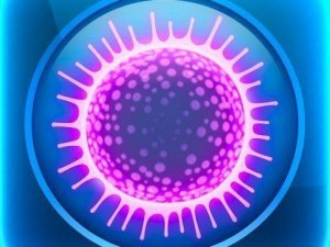Sporos Puzzle Game Online