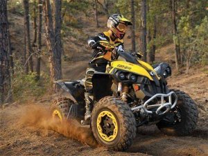 Trail Explorer Picture Puzzle