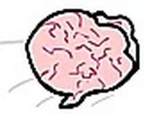 Brain Drain Puzzle Game