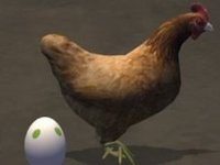 Chicken Road Dash Multiplayer