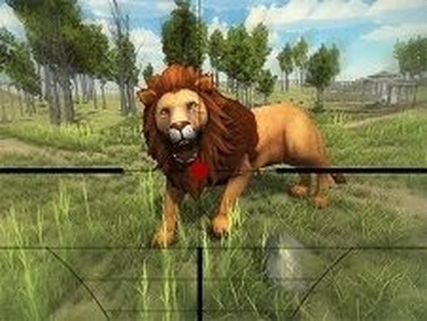 Lion Hunting 3D Online Game