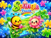 Springle Puzzle Challenge