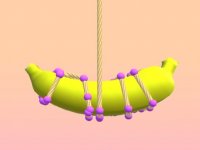 Object Untangler Puzzle