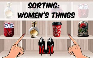 Sorting: Women's Things Puzzle Game Online